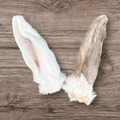 Rabbit Ears