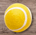 Tennis for Dogs