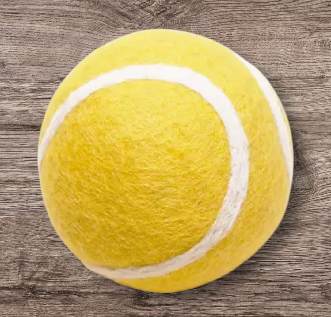Tennis for Dogs